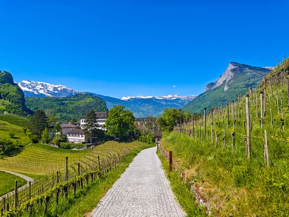 Liechtenstein Travel Guide and Highlights