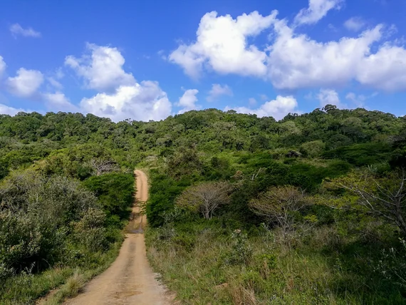 16 Days in Southern Africa